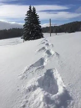 Résidence La Bérangère Aparthotel